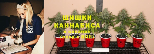 ГАЛЛЮЦИНОГЕННЫЕ ГРИБЫ Алексин