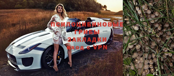 ГАЛЛЮЦИНОГЕННЫЕ ГРИБЫ Алексин